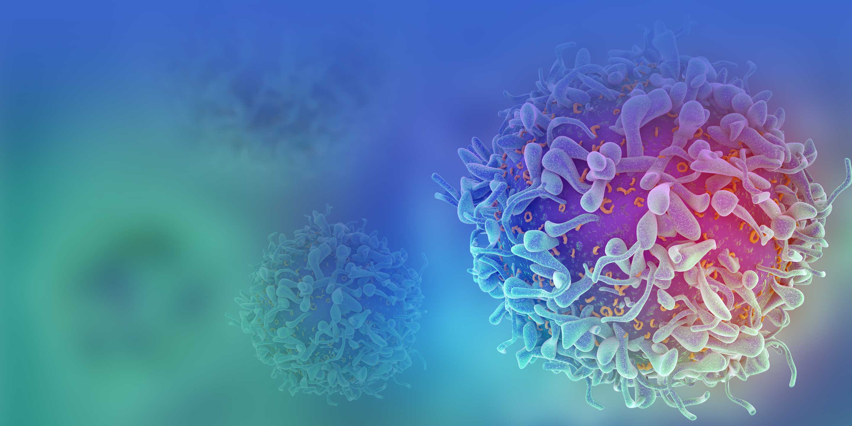 BD® OMICS-Guard Sample Preservation Buffer